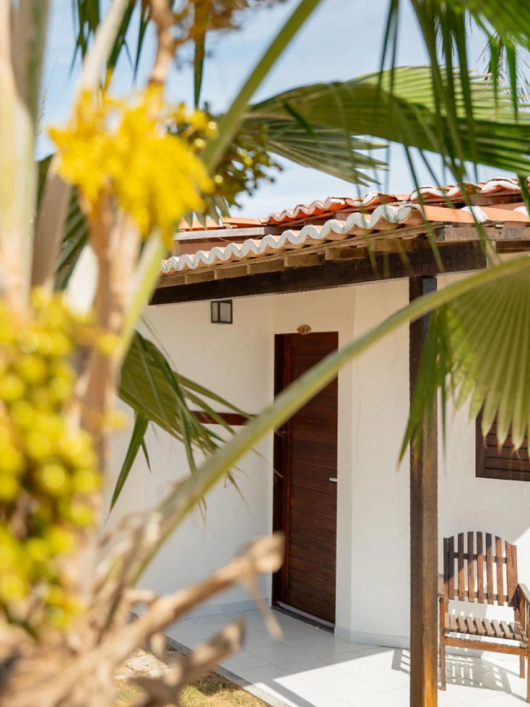 Bungalo et vegetation
