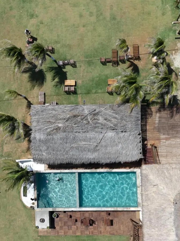 Piscine tropicale